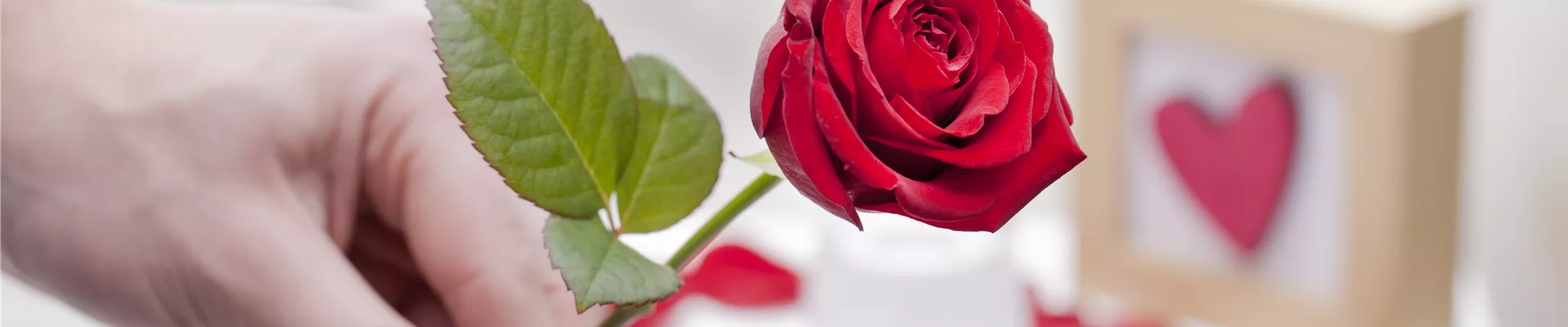 Gartenideen - Otto's Gartenparadies