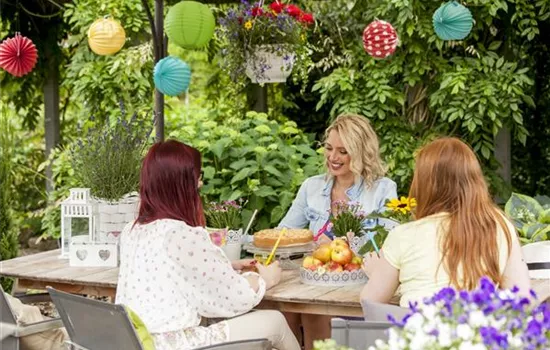 Feiern unter freiem Himmel: die besten Feste im Sommergarten