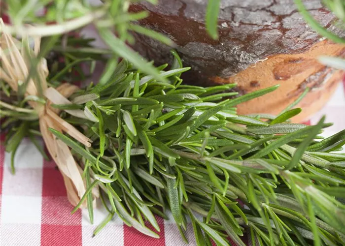 Kulinarischer Gaumenschmaus: Räuchern im eigenen Garten