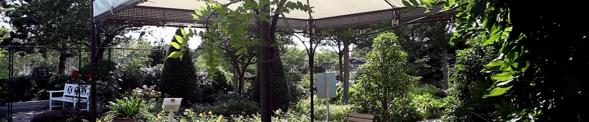 Gartengestaltung - Mediterraner Garten (thumbnail).jpg