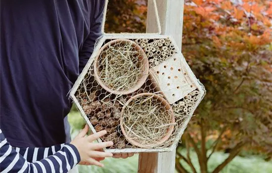 Ein Insektenhotel im Garten - Urlaub für Biene und Co.