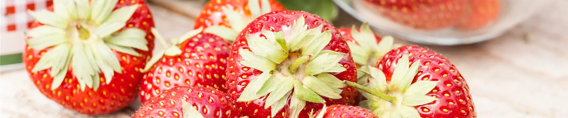 Erdbeeren